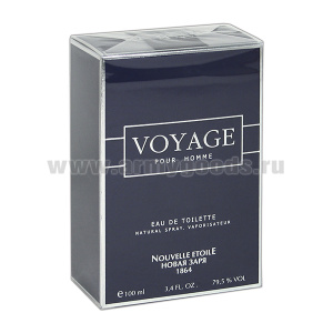 Тлтн вод мужская Вояж (100 мл)