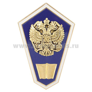 Значок мет. "Гробик" Среднее гуманитарное образование (латунь, хол.эм. с накладкой)