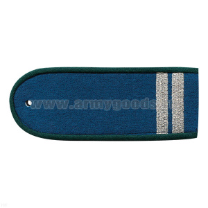 Погоны Государственной ветеринарной службы (ГВС) с 2 вышитыми лычками (14 см)