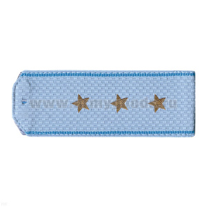 Погоны ВВС голуб. с голуб. кантом (на рубашку) канитель (старший прапорщик)