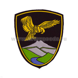 Шеврон пластизолевый Орел над горами (щит МЧС)