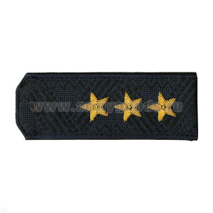 Погоны генерал-полковник иссиня-черн. (ФСБ / ПС ФСБ) на куртку (ст/обр)