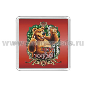 Магнит пластик Живу в России!
