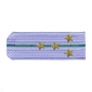 Погоны ПС ФСБ голуб. с 1 зел. просв. на рубашку, вышит. канителью (капитан)