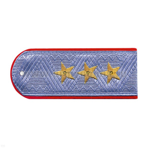 Погоны Полиции (ОВД) генерал-полковник на рубашку (голубые с красным кантом)