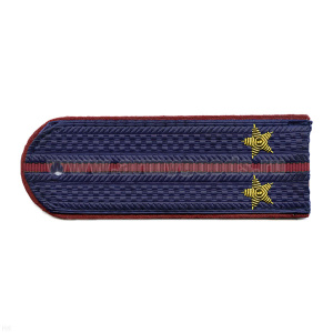 Погоны ФСИН серо-синие с крап. кантом с 1 крап. просв. на китель, вышит. канителью (лейтенант)