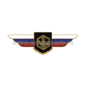 Значок мет. Должностной знак командира полка и ему равной воинской части (РХБЗ) №118