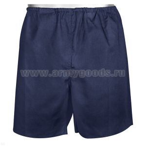 Трусы семейные синие