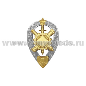 Значок мет. Специалист-робототехник (уровень 2) квалификационный знак МО РФ