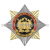 Значок мет. Орден-звезда Полиция Образовательные учреждения