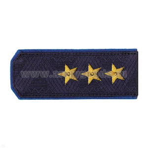 Погоны генерал-полковник иссиня-черн. с васильк. кантом (ФСБ) на китель