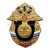 Значок мет. ВДВ (серия Россия)