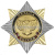 Значок мет. Орден-звезда Охрана (сова)