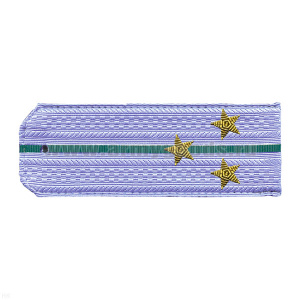 Погоны ПС ФСБ голуб. с 1 зел. просв. на рубашку, вышит. канителью (ст. лейтенант)