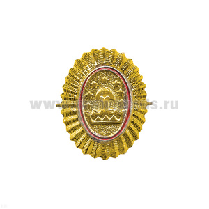 Кокарда мет. ВС Таджикистана мал. зол.
