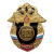 Значок мет. РВСН буквы (серия Россия)
