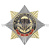 Значок мет. Орден-звезда В память о службе (эмбл. ВДВ ст/обр)