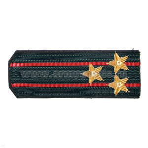 Погоны МВД серые (без канта) с 2 красн. просв., вышит. канителью (полковник)