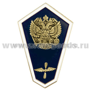 Значок мет. "Гробик" Среднее авиационно-техническое образование (латунь, хол.эм. с накладкой)