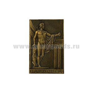 Значок мет. Павловск