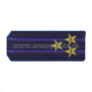 Погоны ФСБ нов/обр иссиня-черн. с вас. кантом с 2 вас. просв. на китель, вышит. канителью (полковник)