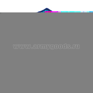 Шеврон вышит. на парад Россия ВВС (синий фон)