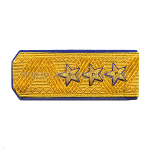 Погоны генерал-полковник золотые с васильк. кантом (ФСБ парадные)