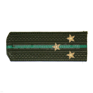 Погоны ПС ст/обр оливк. с 1 зел. просв., вышит. канителью (ст. лейтенант)