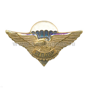 Значок мет. 21 ВДБр (серия орел с парашютом, крылья в стороны с названиями дивизий ВДВ)