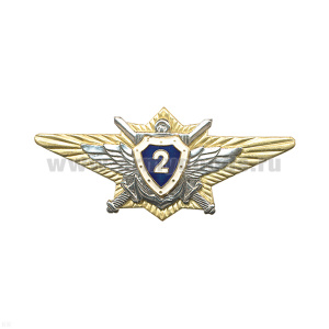 Значок мет. Классность офиц. ВС РФ 2 класс