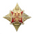 Значок мет. Герб РФ на звезде (лат.)