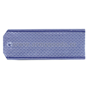 Погоны голуб. вас. кант (ФСБ нов/обр руб.) на пластике