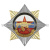 Значок мет. Орден-звезда ВВ кулак с автоматом на звезде