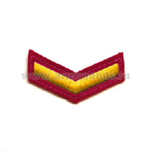 Курсовка вышит. 1 курс (крапов.) люрекс