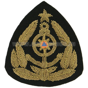 Кокарда канит. лат. ГИМС (с цветной вставкой, со звездой)