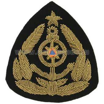 Кокарда канит. лат. ГИМС (с цветной вставкой, со звездой)