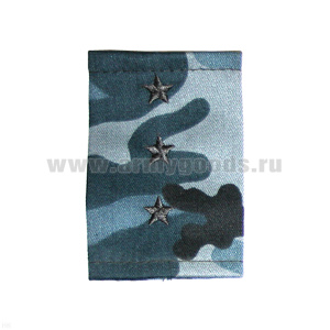 Ф/пог. 4-хцв. серые вышит. черн. (ст. прапорщик)