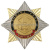 Значок мет. Орден-звезда Войска РХБЗ (эмблема нов/обр)