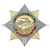 Значок мет. Орден-звезда Ветеран ВМФ