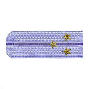 Погоны ФСБ нов/обр голуб. с 1 вас. просв. на рубашку, вышит. канителью (ст. лейтенант)