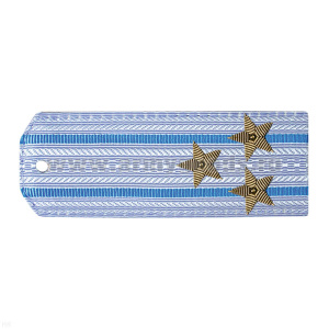 Погоны ВВС голуб. с голуб. просв. (на рубашку) вышит. канителью (полковник)