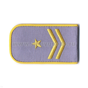 Погоны РЖД вышит. шелк. голубые (2 лычки 1 звезда)