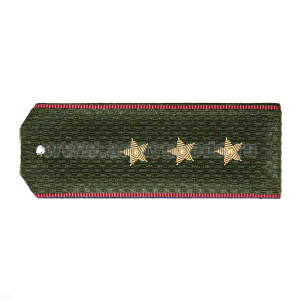 Погоны ВВ оливк. с крап. кантом, вышит. канителью  (ст. прапорщик)