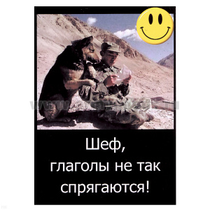 Магнит виниловый (гибкий) со смайликом Шеф, глаголы не так спрягаются!