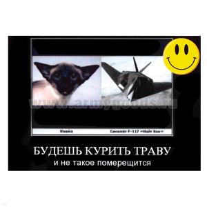 Магнит виниловый (гибкий) со смайликом Будешь курить траву и не такое померещится