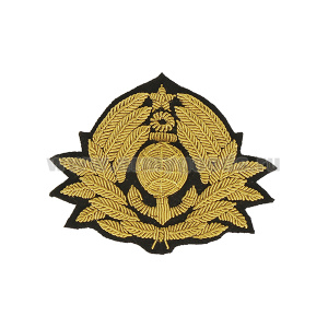 Кокарда канит. (золото 3%) Морской флот (глобус, 11 листиков, со звездой)