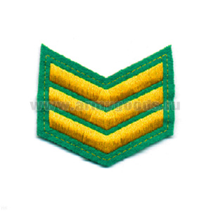 Курсовка вышит. 3 курс (зел.)