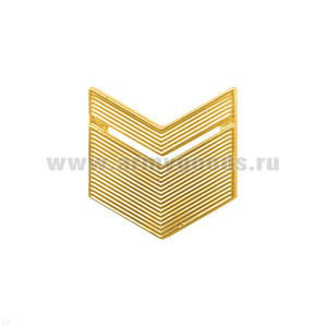 Лычка пласт. ВС Старшина зол.