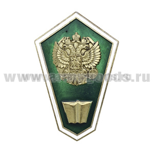 Значок мет. "Гробик" (с книгой, зеленый) с накладным орлом РФ (хол. эм)